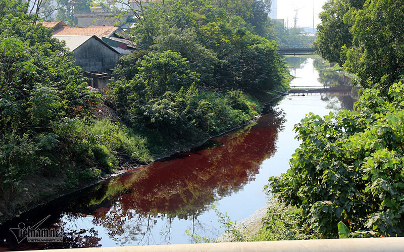 Hà Nội: Lềnh bềnh rau muống trên dòng sông đỏ quạch