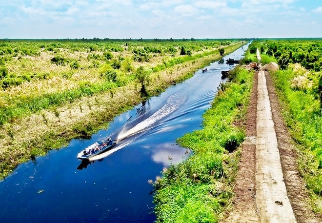 Rừng u minh