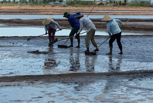 Người làm muối ở Bạc Liêu điêu đứng vì mưa nhiều