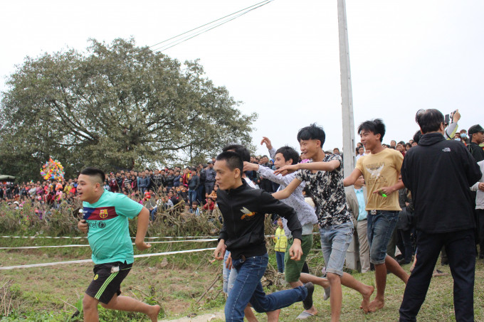Các thanh niên của xã Hiền Quan hồ hởi chạy vào khu vực cướp phết.