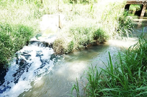 Các tỉnh chậm trễ trong việc báo cáo về môi trường sông Thị Vải