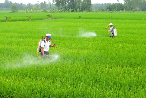 105353_phun-thuoc-sau