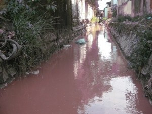 ô nhiễm nước thải tại làng nghề Việt Nam