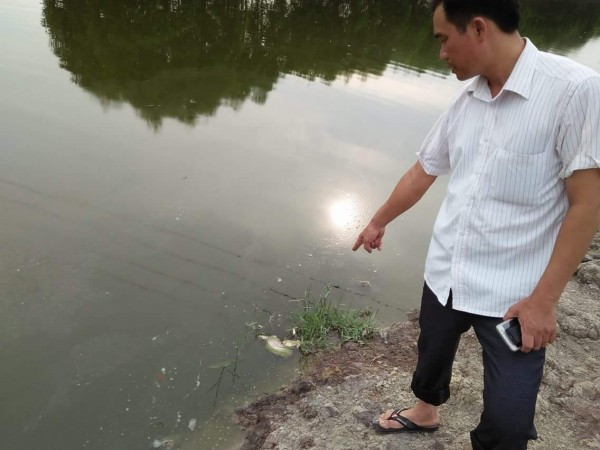 Trưởng thôn Quang Biểu, xã Quang Châu chỉ nơi nguồn nước xả thải từ nhà máy xử lý nước thải Quang Châu có hiện tượng cá chết