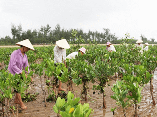 biến đổi khí hậu