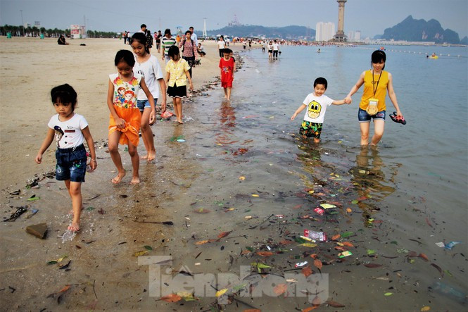 Trẻ ngụp lặn bơi trong rác biển ở Hạ Long - ảnh 6