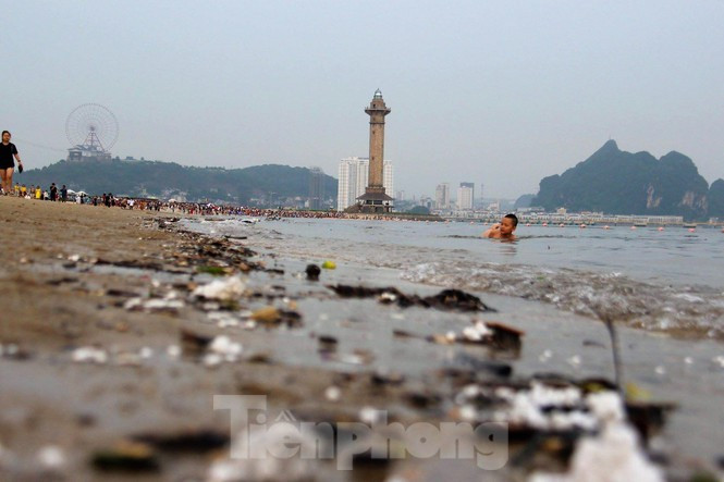 Trẻ ngụp lặn bơi trong rác biển ở Hạ Long - ảnh 5