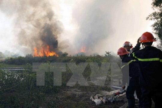 Cháy rừng tái sinh tại Hà Nam, gây thiệt hại trên một ha rừng