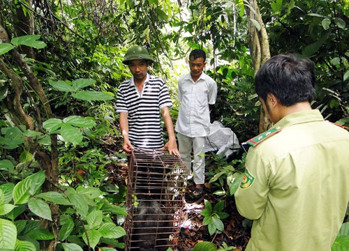 Bảo tồn đa dạng sinh học ở Việt Nam