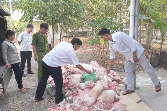 Lào Cai: Tiêu hủy gần 2 tấn thịt bẩn bày bán ở các chợ vùng cao