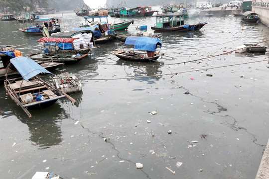 Quảng Ninh: Cấp bách bảo vệ môi trường biển