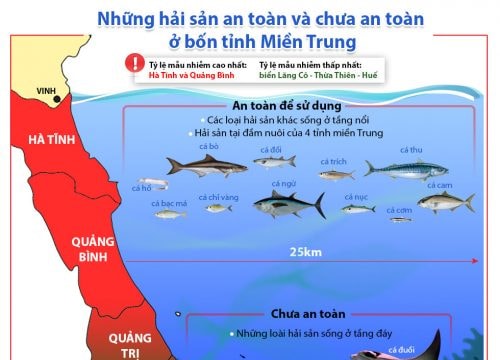 Hải sản nào an toàn và chưa an toàn ở bốn tỉnh miền Trung?