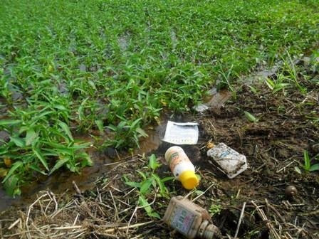 Báo động tình trạng ô nhiễm vì rác thải thuốc bảo vệ thực vật