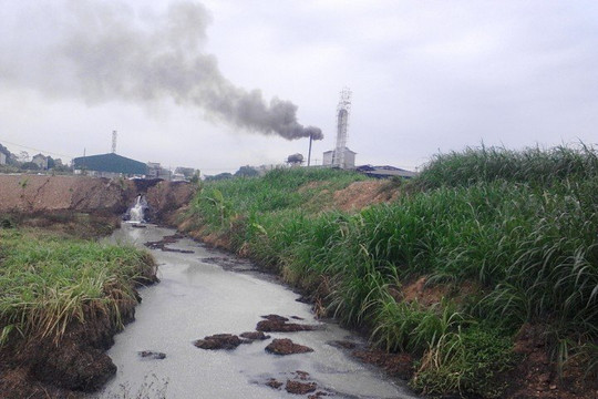 Phú Thọ: Bất chấp lệnh dừng hoạt động, Doanh nghiệp sản xuất bột sắn vẫn ngang nhiên hoạt động gây ô nhiễm môi trường.