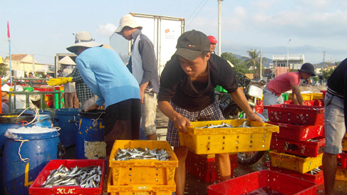 Thừa Thiên Huế: Ngư dân vươn khơi bám biển nhận lộc đầu năm