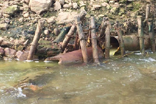 Sông Lô bị “bức tử” vì nhà máy xả thải