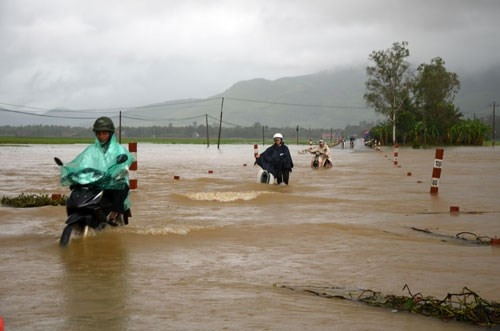 Bình Định: Mưa lũ bất thường làm thiệt hại gần 55 tỉ đồng