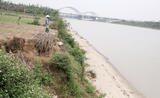 Chuyển hơn 61 ha đất trồng lúa ở Hà Nội để xây nhà máy nước mặt sông Đuống