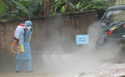 Thành lập 8 đội ứng phó nhanh với dịch cúm gia cầm A/H7N9