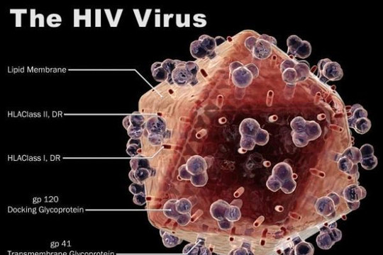 Cu Ba: Thử nghiệm vắcxin điều trị HIV/AIDS