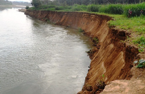 Thanh Hóa: Dân hoang mang vì bờ sông sạt lở nghiêm trọng