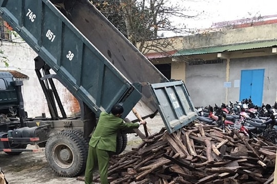 Quảng Trị  bắt giữ ôtô tải chở hơn 2 tấn gỗ lậu