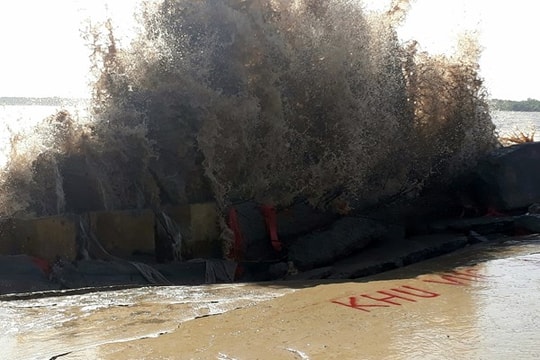 Bạc Liêu: Kè Gành Hào sạt lở “uy hiếp” đất liền