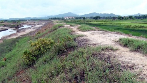 Quảng Ninh: Đê Đồng Rui bị nước biển “đe dọa”