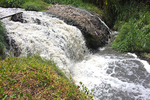 Đồng Nai: Suối Reo ô nhiễm nước đen ngòm bốc mùi thối