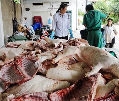 TP. Hồ Chí Minh: Xuất hiện liên tục nhiều ca thương hàn