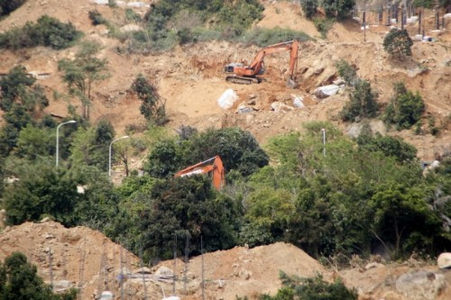 Đà Nẵng đang kiểm tra việc phá rừng Sơn Trà làm khách sạn