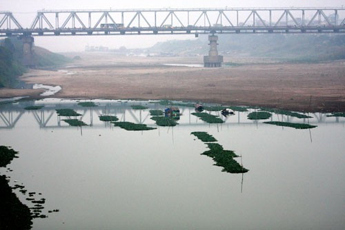 Mực nước sông Hồng xuống thấp, khó khăn trong sản xuất nông nghiệp