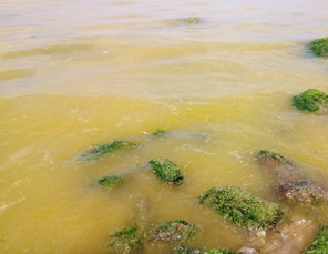 Thừa Thiên Huế: Dải nước màu vàng “lạ” xuất hiện khu vực cảng Chân Mây