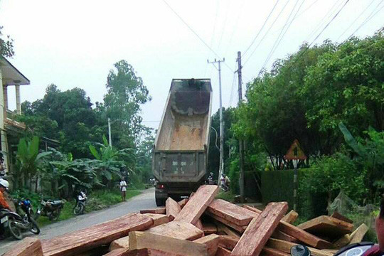 Quảng Bình: Lái xe đổ 20m3 gỗ không hợp pháp xuống đường