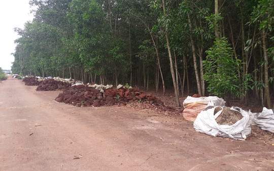 Đồng Nai: Hàng ngàn chất thải lạ đổ trộm ở rừng tràm
