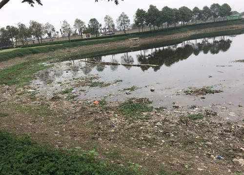 Nguồn nước hồ điều hòa công viên Yên Sở bị ô nhiễm