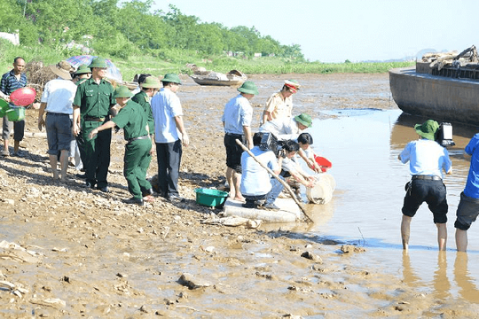 Thanh Hóa: Thả hơn 1 tấn cá giống xuống sông Mã