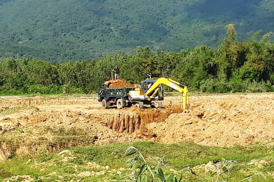 Bình Định: Khai thác đất trái phép, quản lý buông lỏng