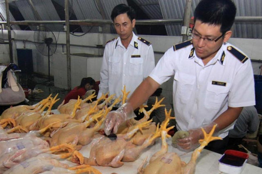 An toàn thực phẩm – Cơ hội và thách thức đối với doanh nghiệp xuất khẩu Việt Nam
