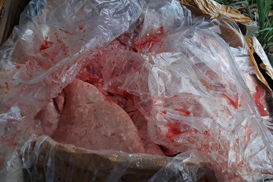 Thừa Thiên – Huế: Ngăn chặn 2,4 tấn nội tạng thối chuẩn bị lên bàn ăn