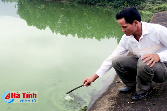 Hà Tĩnh: Hồ Vực Trống ô nhiễm nặng, người dân thiếu nước dùng