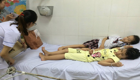 Hà Tĩnh: Ăn quả ngô đồng  9 học sinh tiểu học nhập viện
