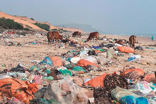 Hà Tĩnh: Bãi biển thành bãi rác