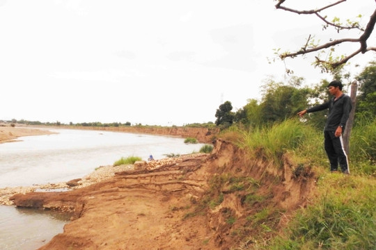 Ninh Thuận: Sông Dinh sạt lở ngày càng nghiêm trọng