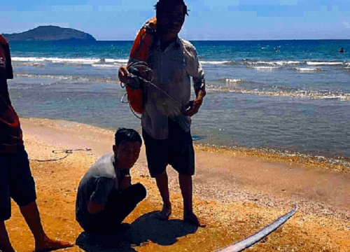 Bình Thuận: Cá hố khổng lồ dạt vào bờ