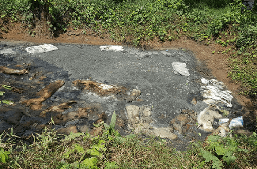 Đồng Nai: Kinh hoàng xác lợn chết vứt ngổn ngang bên bờ suối Nhạn