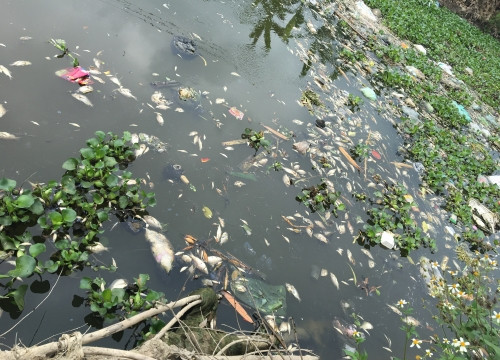 Dân ‘kêu cứu’ vì ô nhiễm môi trường tại huyện Bình Giang, Hải Dương