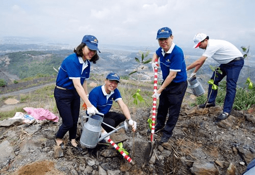 Quảng Ninh: Trồng 50.000 cây keo gai nhằm cải tạo môi trường