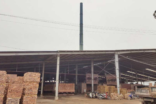 Thuận Thành(Bắc Ninh):  Nhà máy gạch gây ô nhiễm, người dân “lĩnh đủ”