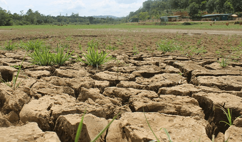 Việt Nam đang đối mặt với nguy cơ thiếu nước trầm trọng